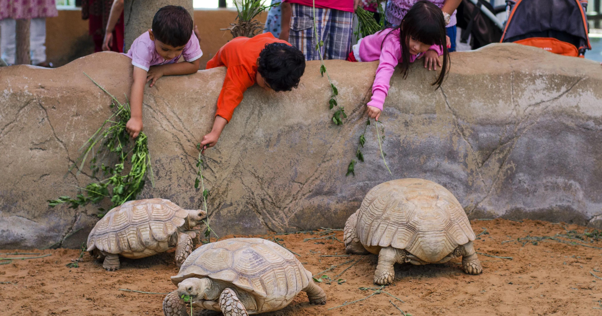 Emirates Park Zoo ABU Dhabi