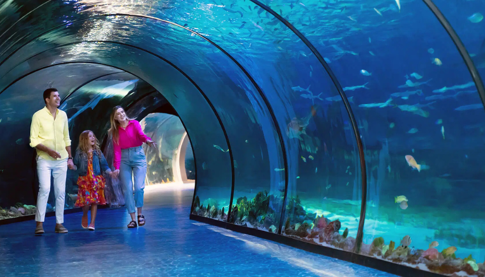 The National Aquarium Abu Dhabi