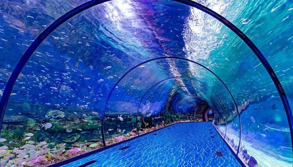 The National Aquarium Abu Dhabi