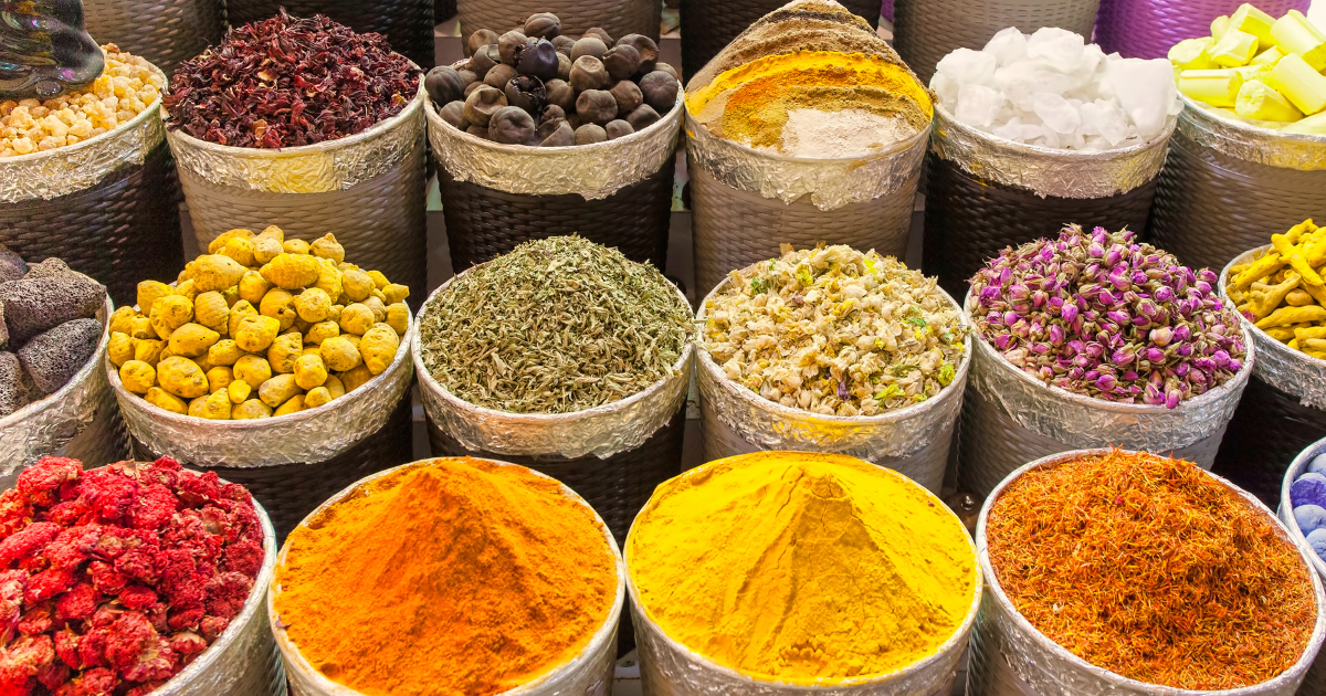 Tour di un giorno intero alla scoperta della città di Dubai