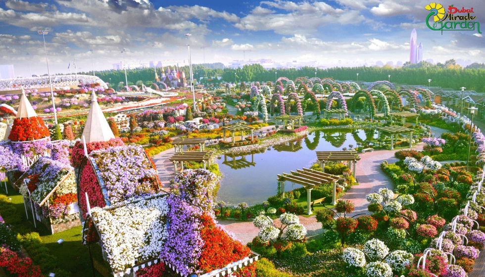 Парк Miracle Garden (сад чудес) в Дубай