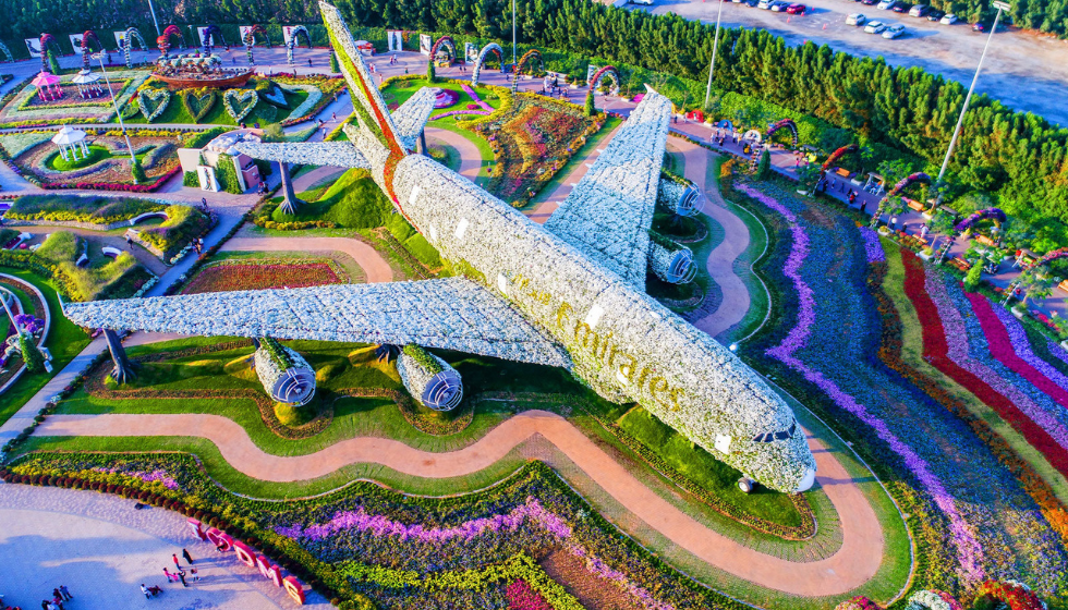 Парк Miracle Garden (сад чудес) в Дубай