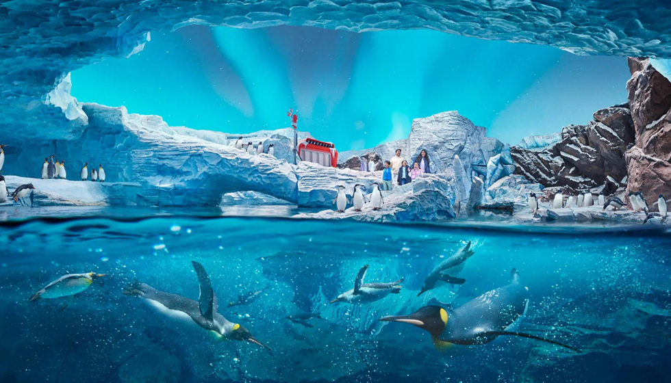 SeaWorld Abu Dhabi