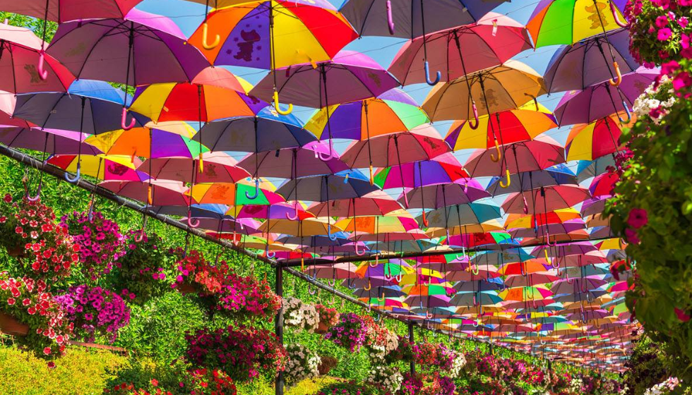 Парк Miracle Garden (сад чудес) в Дубай