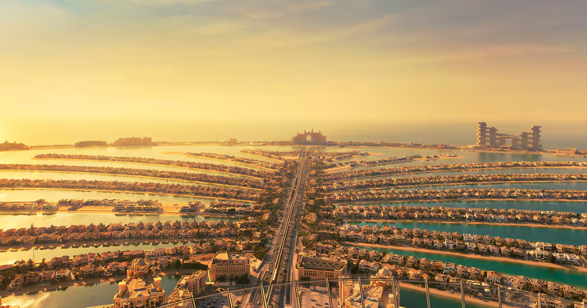 The View at The Palm